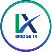 Bridge IX Logo